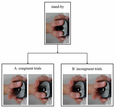 Transcranial Direct Current Stimulation of the Temporoparietal Junction and Inferior Frontal Cortex Improves Imitation-Inhibition and Perspective-Taking with no Effect on the Autism-Spectrum Quotient Score